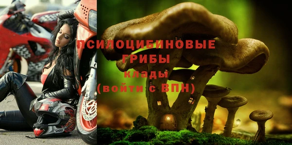 Альфа ПВП Балахна