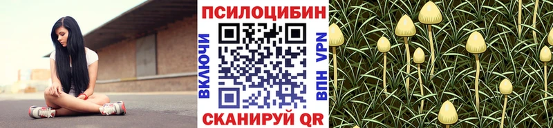 Псилоцибиновые грибы GOLDEN TEACHER Маркс